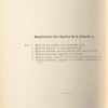 hesp pontica reverdin12
